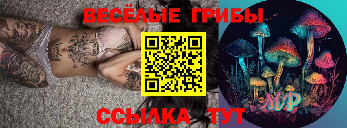 Псилоцибиновые грибы мицелий  купить закладку  Ростов Великий  Вход с VPN 