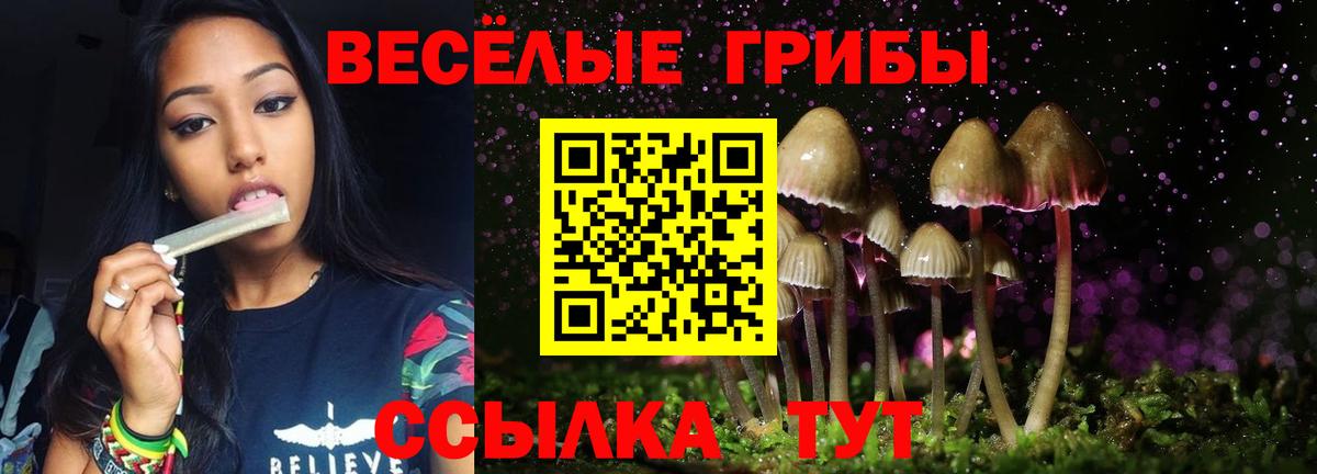 Галлюциногенные грибы Magic Shrooms Ростов Великий